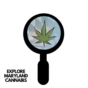 Explore Maryland Cannabis Logo. Magnifying glass with a Cannabis Leaf