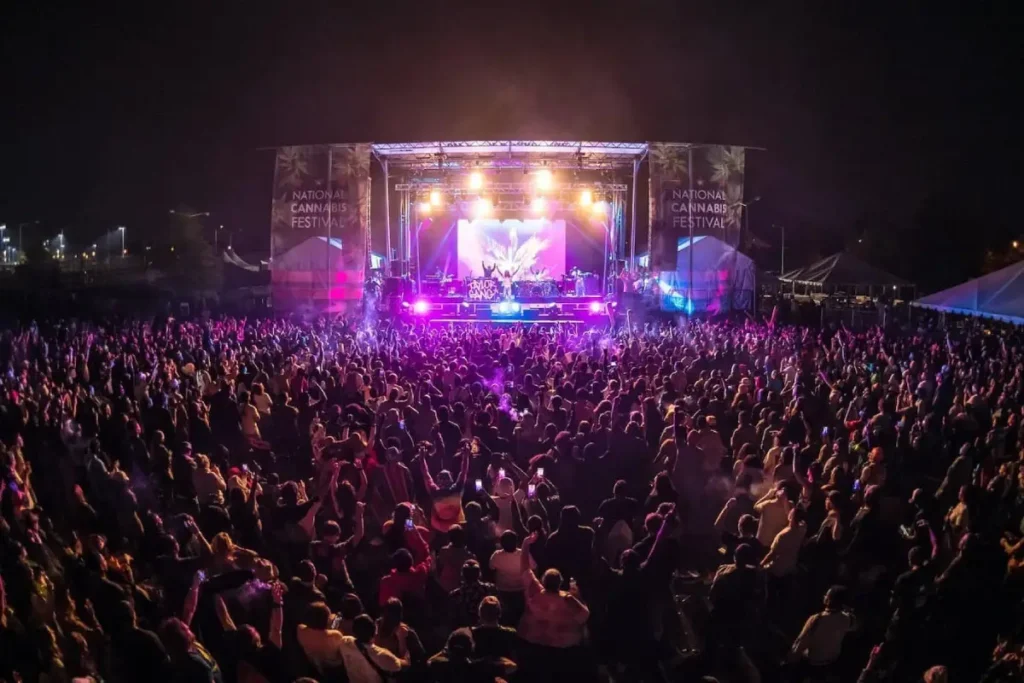 A vibrant night concert scene at the National Cannabis Festival with a cheering crowd and illuminated stage.